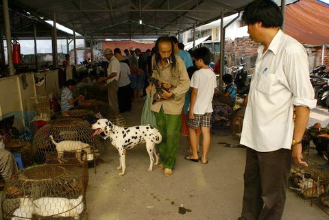 Chợ Bưởi là một trong những chợ phiên chợ cổ hiếm hoi còn được duy trì trong giữ lòng Hà Nội đến tận bây giờ. Ảnh Báo Đất Việt.